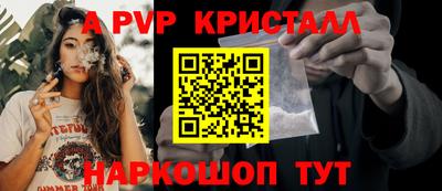 jwh Нальчик