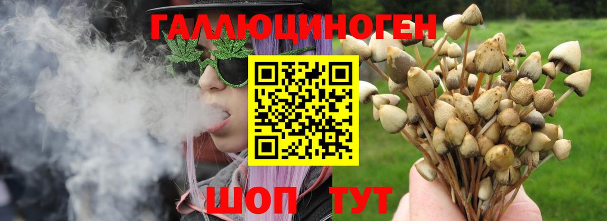 где купить наркотик  Вход с VPN  Сокол  Псилоцибиновые грибы ЛСД 